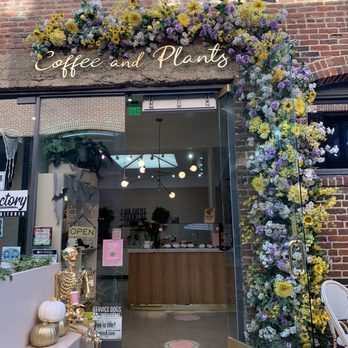 Coffee and Plants - Coffee & Tea Near Me - Pasadena, California