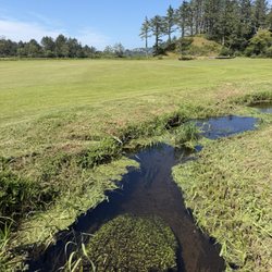 Neskowin Beach Golf Course - Clear water