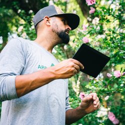 Arbor Etiquette