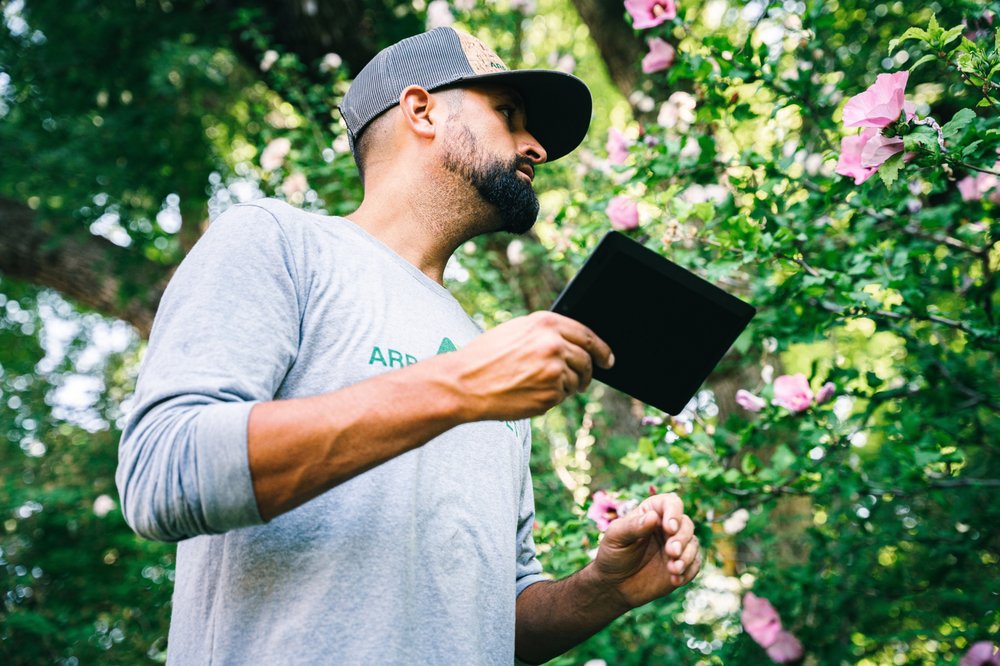 Arbor Etiquette - tree service in Spanish Fork, UT