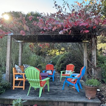 Native Songbird Care & Conservation - Community Service/Non-Profit Near Me - Sebastopol, California
