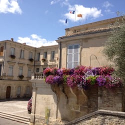 A l'ombre du platane