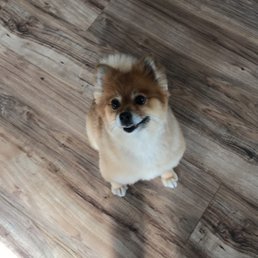 Chanel all clean & fuzzy!! Chanel all clean & fuzzy!!