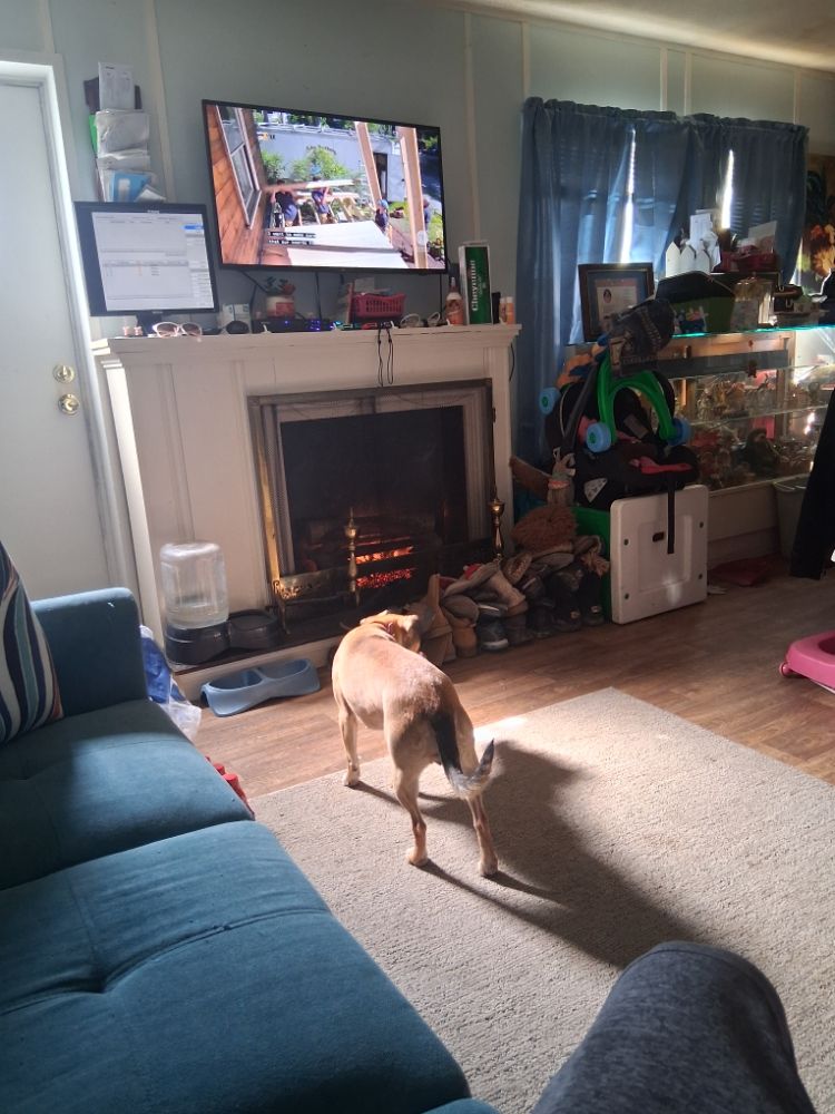 Slide of Perfect Precision Rehabs