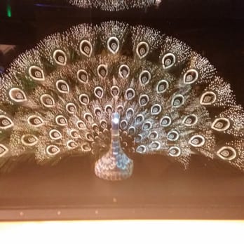 Otronicon - Fiber optic peacock - Arcades Near Me - Orlando, Florida Otronicon - Fiber optic peacock - Arcades Near Me - Orlando, Florida