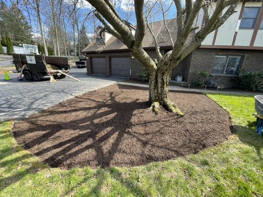 Bryan's Landscaping & Lawn Services on Yelp