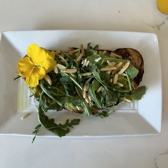 Toasted Gastrobrunch - Avocado Toast - Breakfast & Brunch Near Me - Oceanside, California