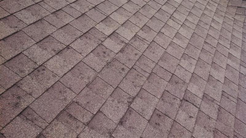 Slide of Xtreme Roofing - New Braunfels
