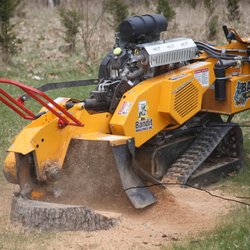 Paul's Stump Removal