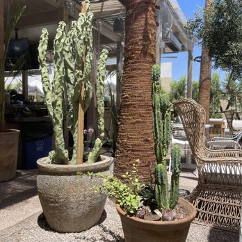 Palma - Outdoor space - Sushi Bars Near Me - Phoenix, Arizona