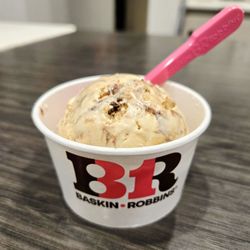 Baskin-Robbins - Jamoca Almond Fudge