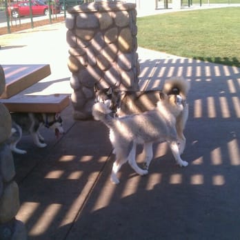 Watson Park - Dog Parks Near Me - San Jose, California