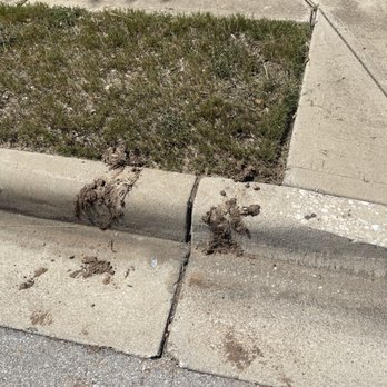 Capital City Plumbing and Drain - Cleaned their boots on the neighbors curb. - Plumbing Near Me - Leander , Texas
