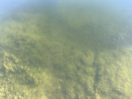 Ernest F. Coe Visitor Center by null