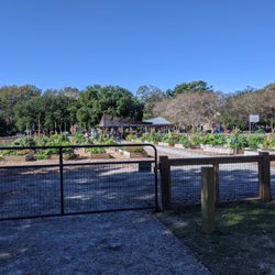 Corrine Jones Park - Corrine Jones Park