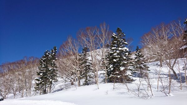 Myōkō Suginohara Ski Resort by null