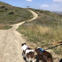 Roller Coaster Trail