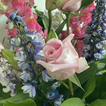 Christopher's Flowers - "Flower Delivery of the Day" close up pic - Florists Near Me - Alexandria, Virginia Christopher's Flowers - "Flower Delivery of the Day" close up pic - Florists Near Me - Alexandria, Virginia