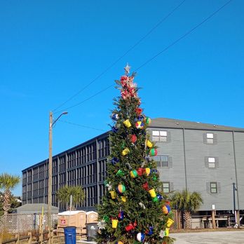 Seawatch Inn At the Landing - Beach Christmas Tree - Property Management Near Me - Murrells Inlet, South Carolina Seawatch Inn At the Landing - Beach Christmas Tree - Property Management Near Me - Murrells Inlet, South Carolina