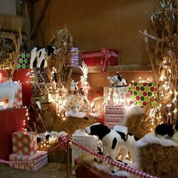 Tannenbaum Forest - Festive with stuffed animals!