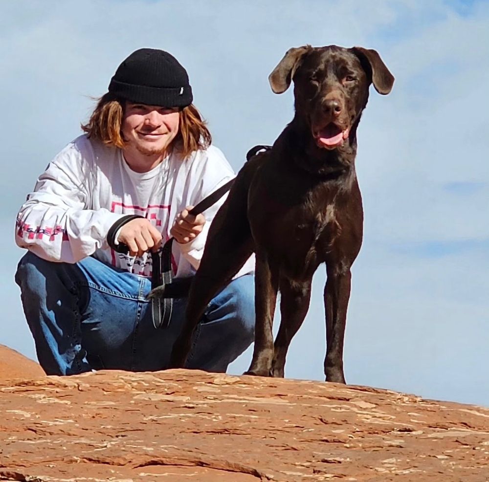 Bark and Beyond Pet Services Image