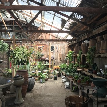 Olive Nursery - Nurseries & Gardening Near Me - San Angelo, Texas