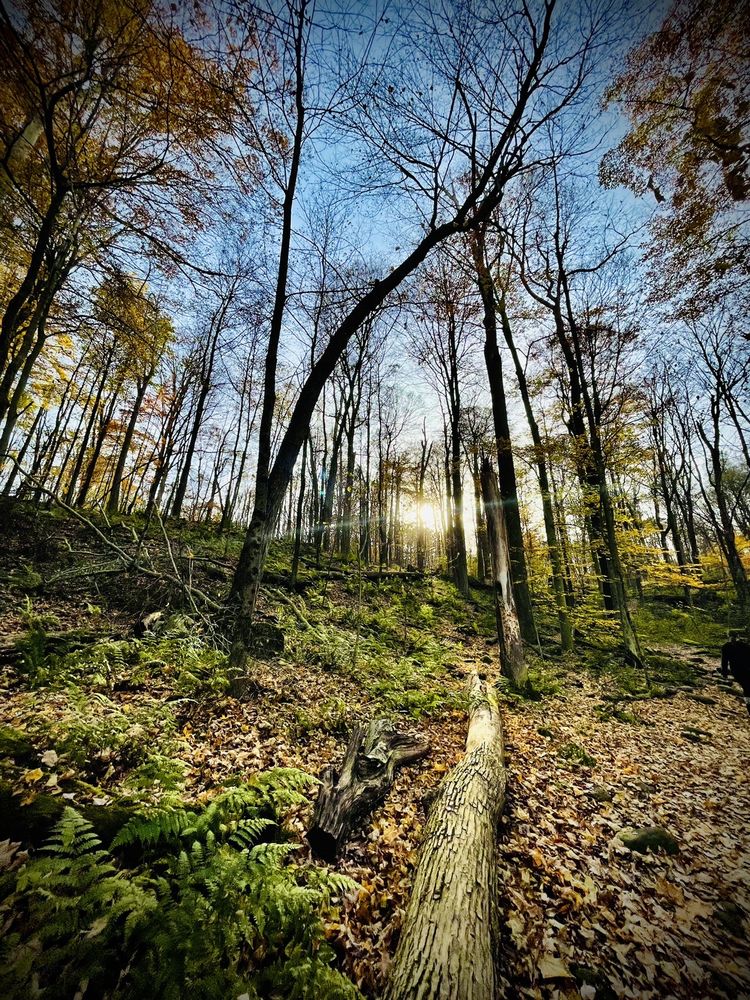Malabar Farm State Park