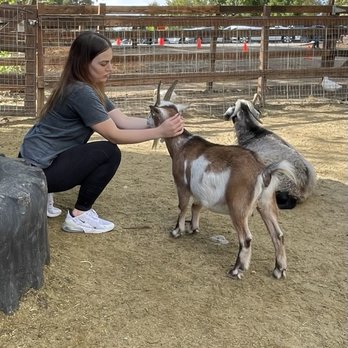 Rileys At Los Rios Rancho - Seedling farm - Fruits & Veggies Near Me - Oak Glen, California