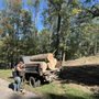 Photo of Bulldogs Tree Service