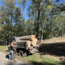 Bulldogs Tree Service