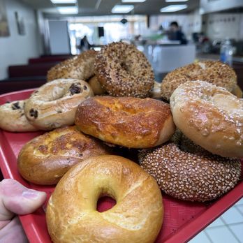 2nd Street Bagels - Bagels Near Me - Southampton, Pennsylvania 2nd Street Bagels - Bagels Near Me - Southampton, Pennsylvania