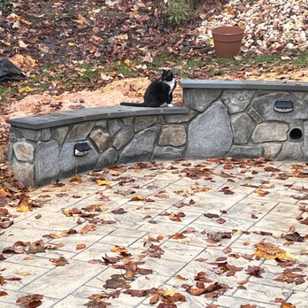 Potomac Masonry Hardscaping Professionals - The cat approves. - Masonry/Concrete Near Me - Alexandria, Virginia Potomac Masonry Hardscaping Professionals - The cat approves. - Masonry/Concrete Near Me - Alexandria, Virginia