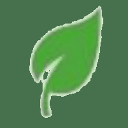 Chaula Patel, MD - Practice Logo