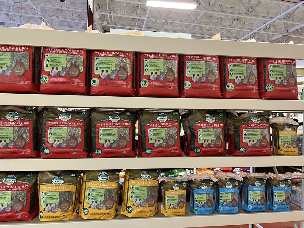 Pet Headquarters Image