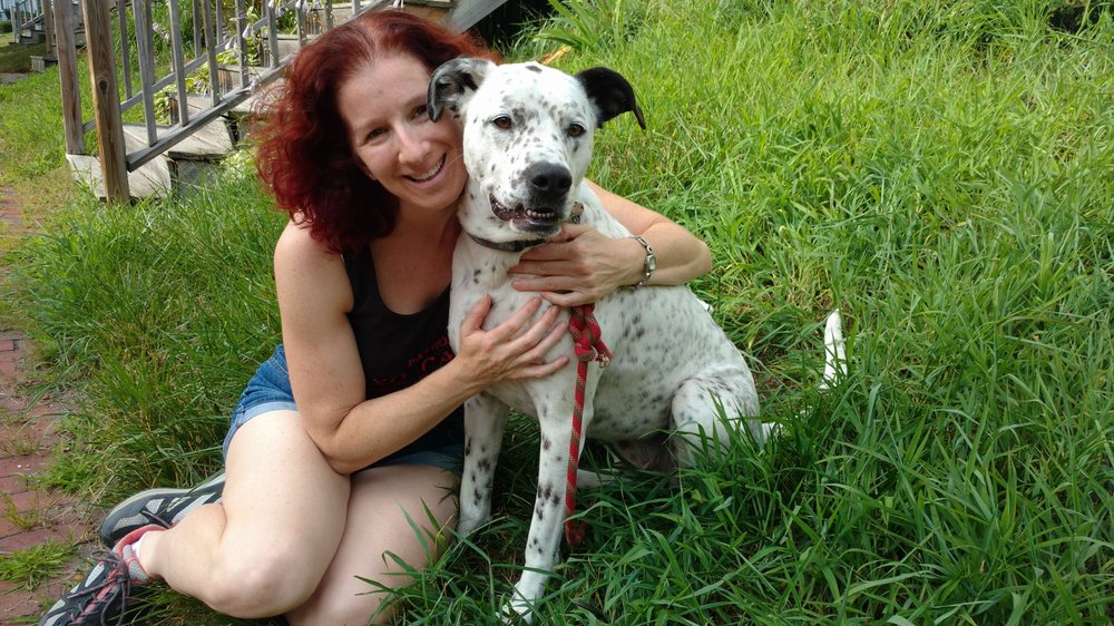 TOUCH MY SOUL PET SERVICES Updated May 2024 Portland, Maine Dog Walkers Phone Number Yelp