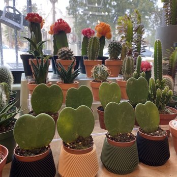 Plant Shoppe - Nurseries & Gardening Near Me - San Antonio, Texas Plant Shoppe - Nurseries & Gardening Near Me - San Antonio, Texas
