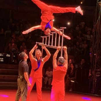 Yelp Night: Flip Circus - Houston - 3-muscle men act--very good - Yelp Events Near Me - Houston, Texas Yelp Night: Flip Circus - Houston - 3-muscle men act--very good - Yelp Events Near Me - Houston, Texas