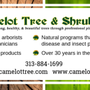 Photo of Camelot Tree & Shrub Co