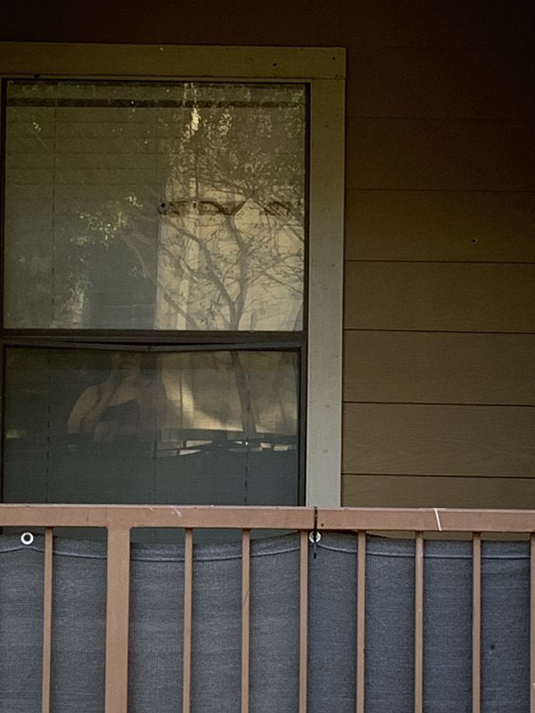 BRYNWOOD APARTMENTS Updated September 2024 66 Photos & 11 Reviews