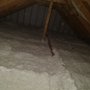 Photo of E2 Conservation
