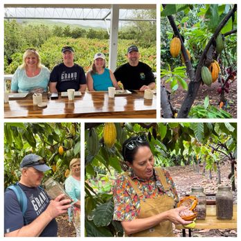 Maui Chocolate Tour - Food Tours Near Me - Lahaina, Hawaii Maui Chocolate Tour - Food Tours Near Me - Lahaina, Hawaii