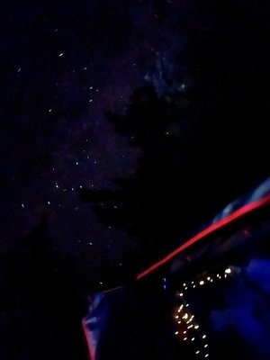 Blackwoods Campground by null