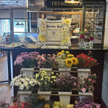 Tremezzo Ristorante - Italian Near Me - Wilmington, Massachusetts Tremezzo Ristorante - Italian Near Me - Wilmington, Massachusetts