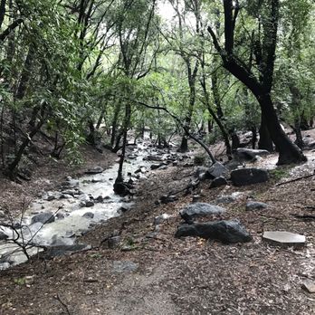 Spruce Grove Campground - Campgrounds Near Me - Arcadia, California