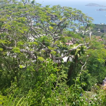 Skyride to Paradise Point - Cultural Center Near Me - Saint Thomas, Virgin Islands Skyride to Paradise Point - Cultural Center Near Me - Saint Thomas, Virgin Islands