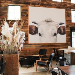 Johnson City Coffee - The Cow.