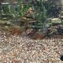 Photo of Terry's Aquarium & Pet Center