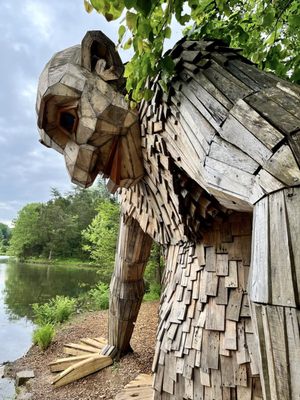 Bernheim Forest and Arboretum by null