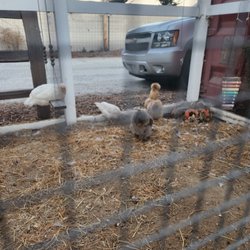 Hacienda Hay & Feed