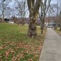 Photo of John F Kennedy Park